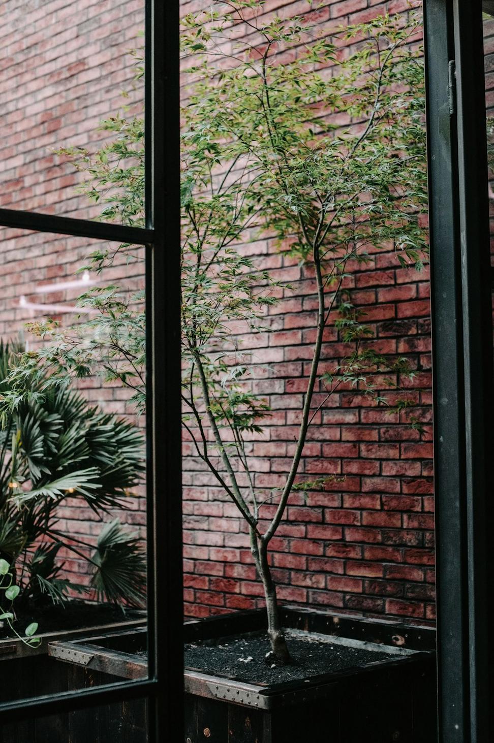 Distillery District Restaurant